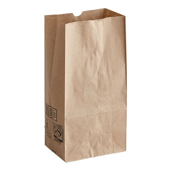 #8 Kraft Paper Bags